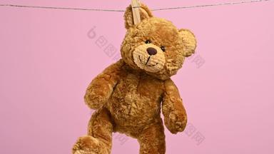 棕色（的）泰迪熊挂耳朵晾衣绳粉红色的背景